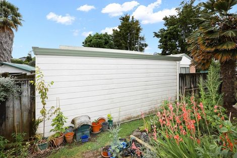 Photo of property in 62 Mount View Road, Melville, Hamilton, 3206