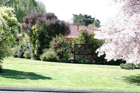 Photo of property in 41 Domain Road, Waipawa, 4210
