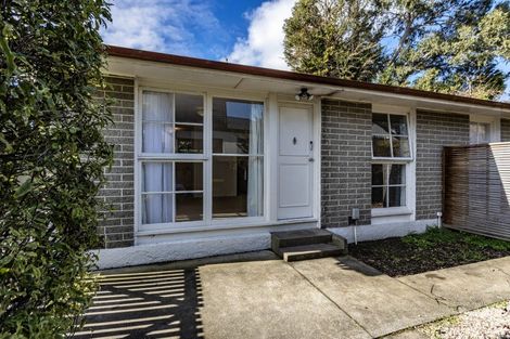 Photo of property in 12 Alexandra Street, Richmond, Christchurch, 8013