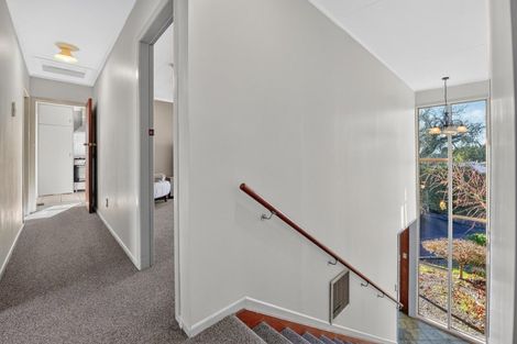 Photo of property in 10 Hazelwood Avenue, Dinsdale, Hamilton, 3204