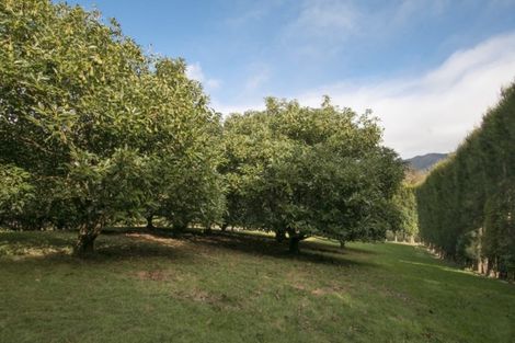 Photo of property in 294 Wharawhara Road, Tahawai, Katikati, 3178
