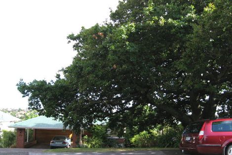 Photo of property in 19 Alton Avenue, Hillcrest, Auckland, 0627