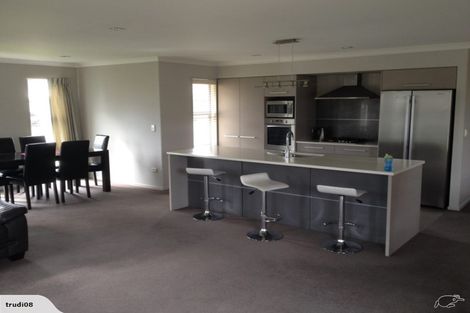 Photo of property in 31 Annex Road, Hillmorton, Christchurch, 8024