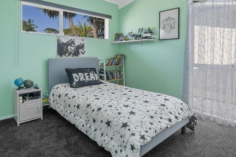 Photo of property in 58 Leefield Street, Blenheim, 7201