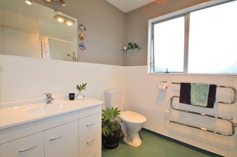 Photo of property in 113 Kitchener Street, Gore, 9710