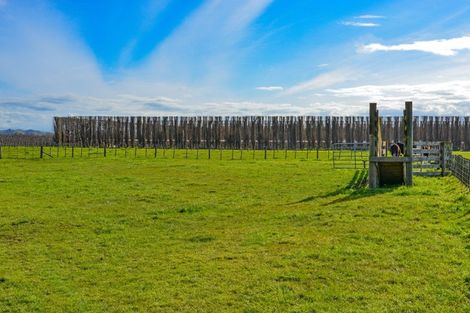 Photo of property in 185 Eriksen Road, Awatoto, Napier, 4110