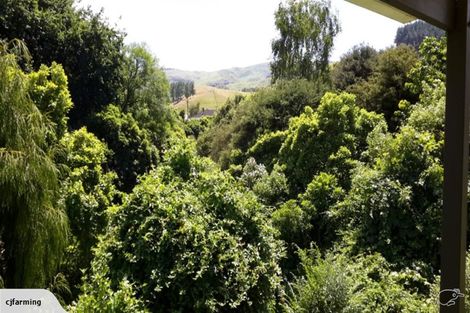 Photo of property in 15 Keepa Avenue, Paeroa, 3600