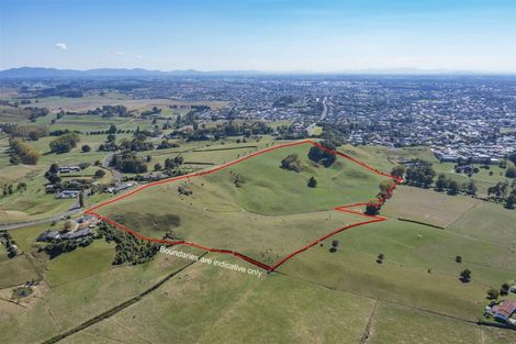 Photo of property in 111 Wallace Road, Mangere Bridge, Auckland, 2022