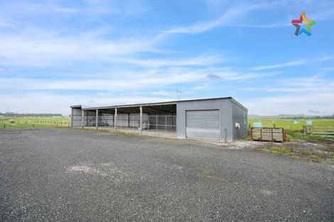 Photo of property in 228 Robertson Road, Mabel Bush, Invercargill, 9872