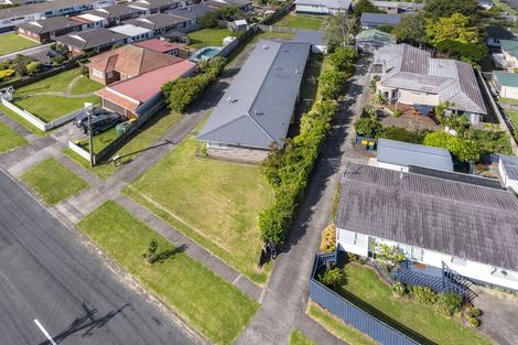 Photo of property in 132 Astley Avenue, New Lynn, Auckland, 0600