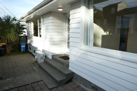 Photo of property in 133 Britomart Street, Berhampore, Wellington, 6023