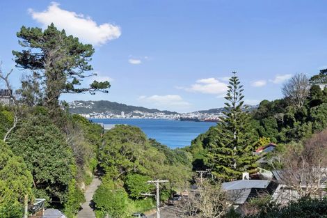 Photo of property in 30 Rangiora Avenue, Kaiwharawhara, Wellington, 6035