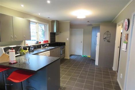 Photo of property in 59 Davis Crescent, Netherby, Ashburton, 7700