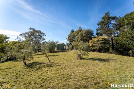 Photo of property in 367 The Coastal Hway, Redwood Valley, Richmond, 7081