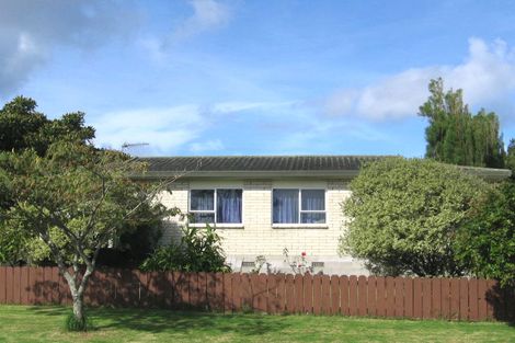 Photo of property in 68 Hindmarsh Street, Henderson, Auckland, 0612