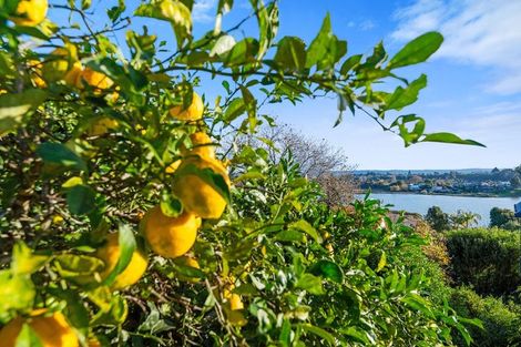 Photo of property in 124 Haukore Street, Hairini, Tauranga, 3112