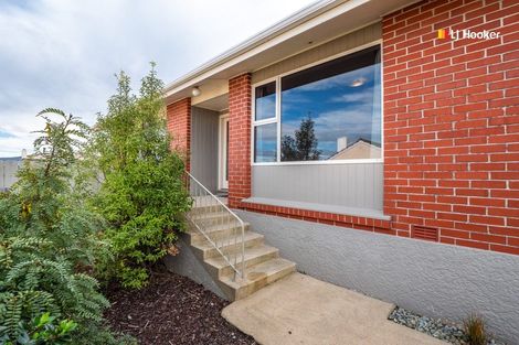 Photo of property in 221 Highcliff Road, Shiel Hill, Dunedin, 9013