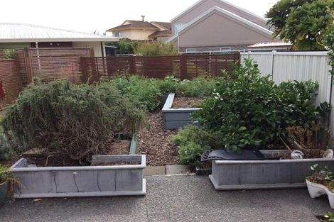 Photo of property in 12a Darraghs Road, Brookfield, Tauranga, 3110