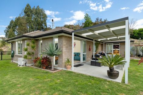 Photo of property in 134d Whakamarama Road, Whakamarama, Tauranga, 3179