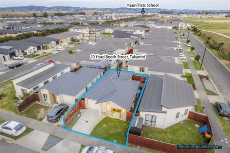 Photo of property in 12 Hard Beech Street, Takanini, 2110