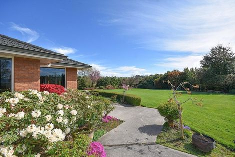 Photo of property in 44 Moneymore Road, Milton, 9292