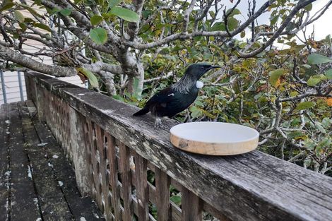 Photo of property in 27 Roseneath Terrace, Roseneath, Wellington, 6011