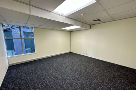 Photo of property in 8a Madeira Lane, Grafton, Auckland, 1023