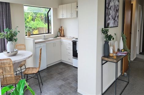 Photo of property in 15b Hairini Street, Hairini, Tauranga, 3112