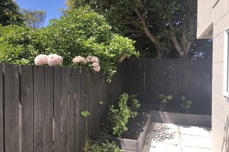 Photo of property in 145b Wallace Street, Mount Cook, Wellington, 6021