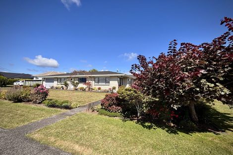 Photo of property in 902 Bank Street, Te Awamutu, 3800