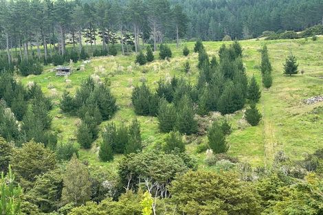 Photo of property in 609a Bickerstaffe Road, Maungaturoto, 0587