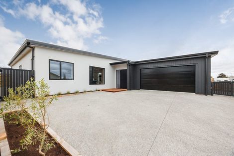 Photo of property in 47 Ashford Avenue, Hokowhitu, Palmerston North, 4410
