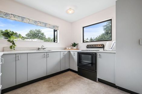 Photo of property in 1 Harper Place, Lake Coleridge, 7572