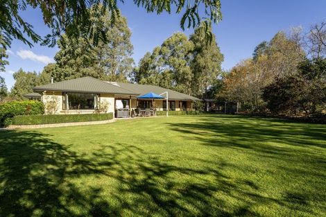 Photo of property in 587 Woodbury Road, Woodbury, Geraldine, 7991