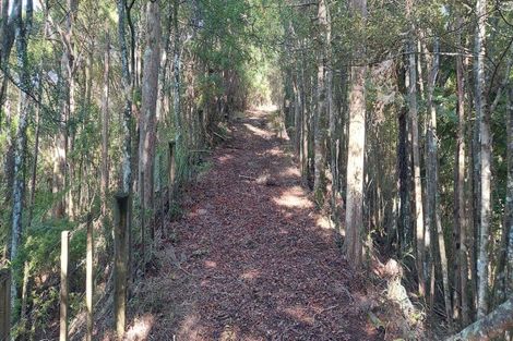 Photo of property in 91 Sharyn Nelson Drive, Haruru, 0204