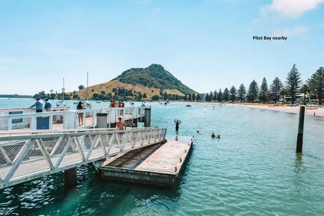 Photo of property in 16b Matai Street, Mount Maunganui, 3116