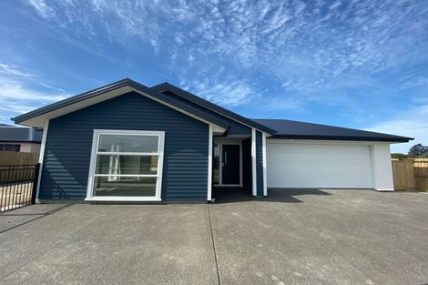 Photo of property in 41 Mcquillan Avenue, Woodend, 7610