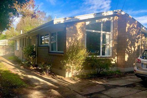 Photo of property in 44a Opawa Road, Waltham, Christchurch, 8023