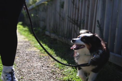 Photo of property in 60 Rochdale Drive, Churton Park, Wellington, 6037