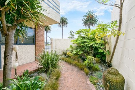 Photo of property in 6 Kennedy Road, Napier South, Napier, 4110