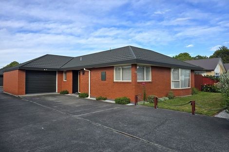 Photo of property in 1/43 Torrens Road, Hillmorton, Christchurch, 8024