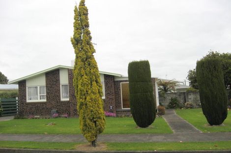 Photo of property in 13 Charles Street, Levin, 5510