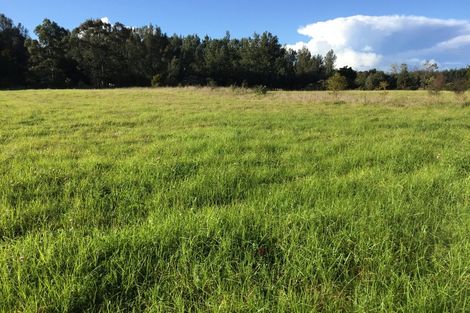 Photo of property in 450 Puketotara Road, Waipapa, 0295