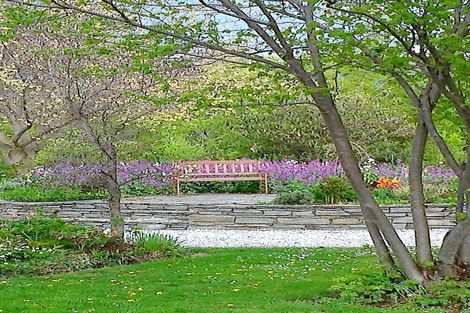 Photo of property in 15 Wilson Street, Omakau, 9376