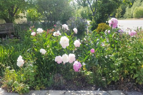 Photo of property in 15 Wilson Street, Omakau, 9376