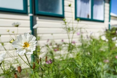 Photo of property in 2 Escort Grove, Awapuni, Palmerston North, 4412
