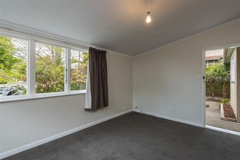 Photo of property in 36 Shelbourne Street, Nelson, 7010