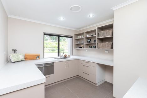 Photo of property in 24 Dromara Drive, Rotokauri, Hamilton, 3289