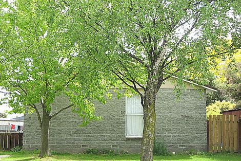 Photo of property in 3 Rothwell Place, Springlands, Blenheim, 7201