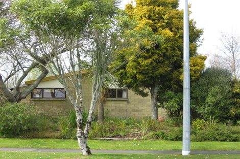 Photo of property in 25 Nikau Street, Inglewood, 4330